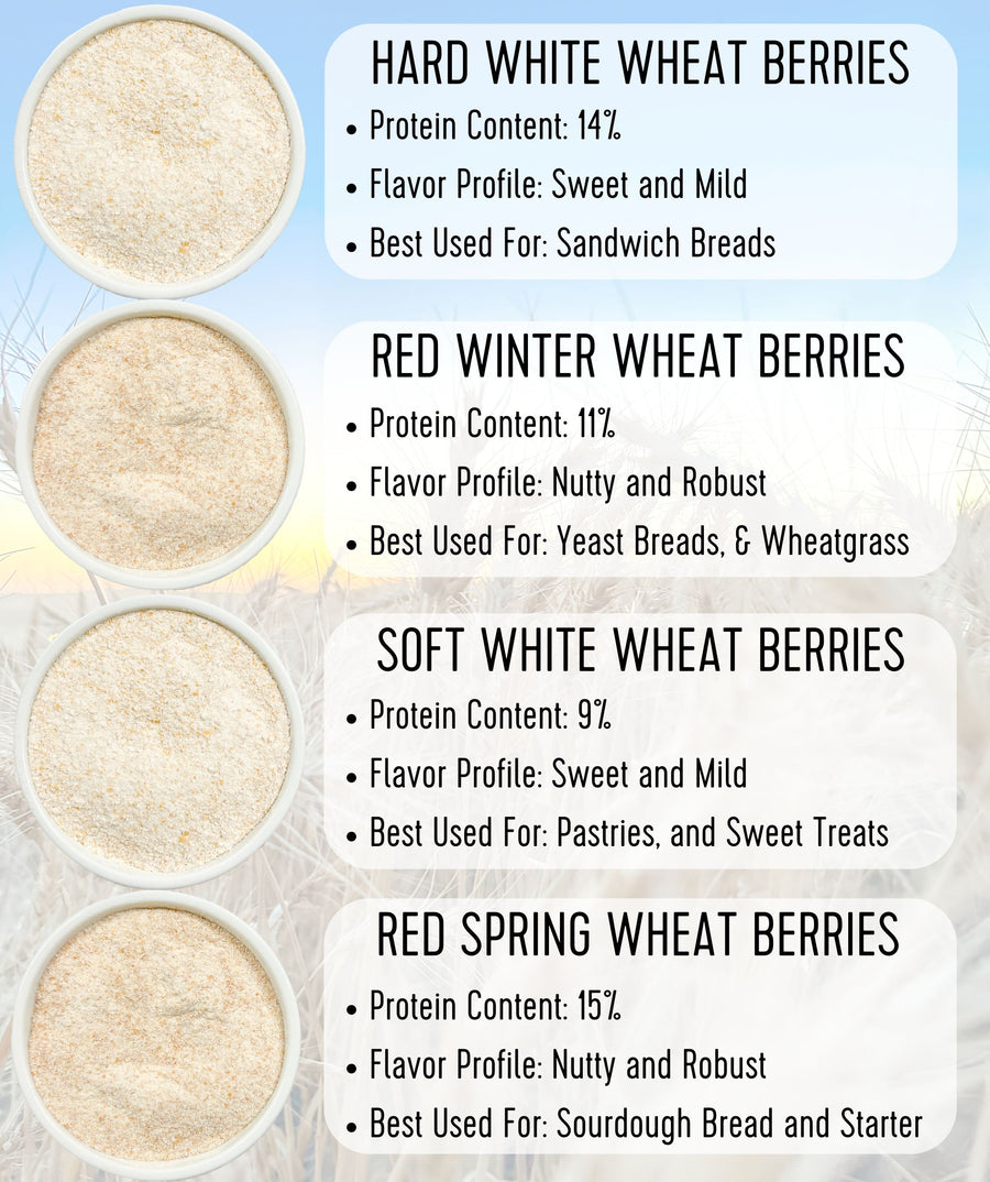 Whole Wheat Flours comparison