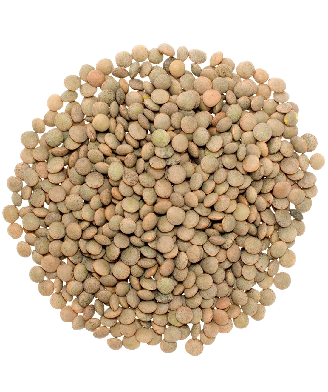 Small Brown Lentils