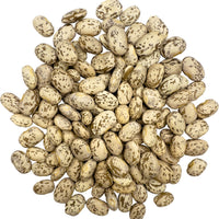 Bulk Pinto Beans