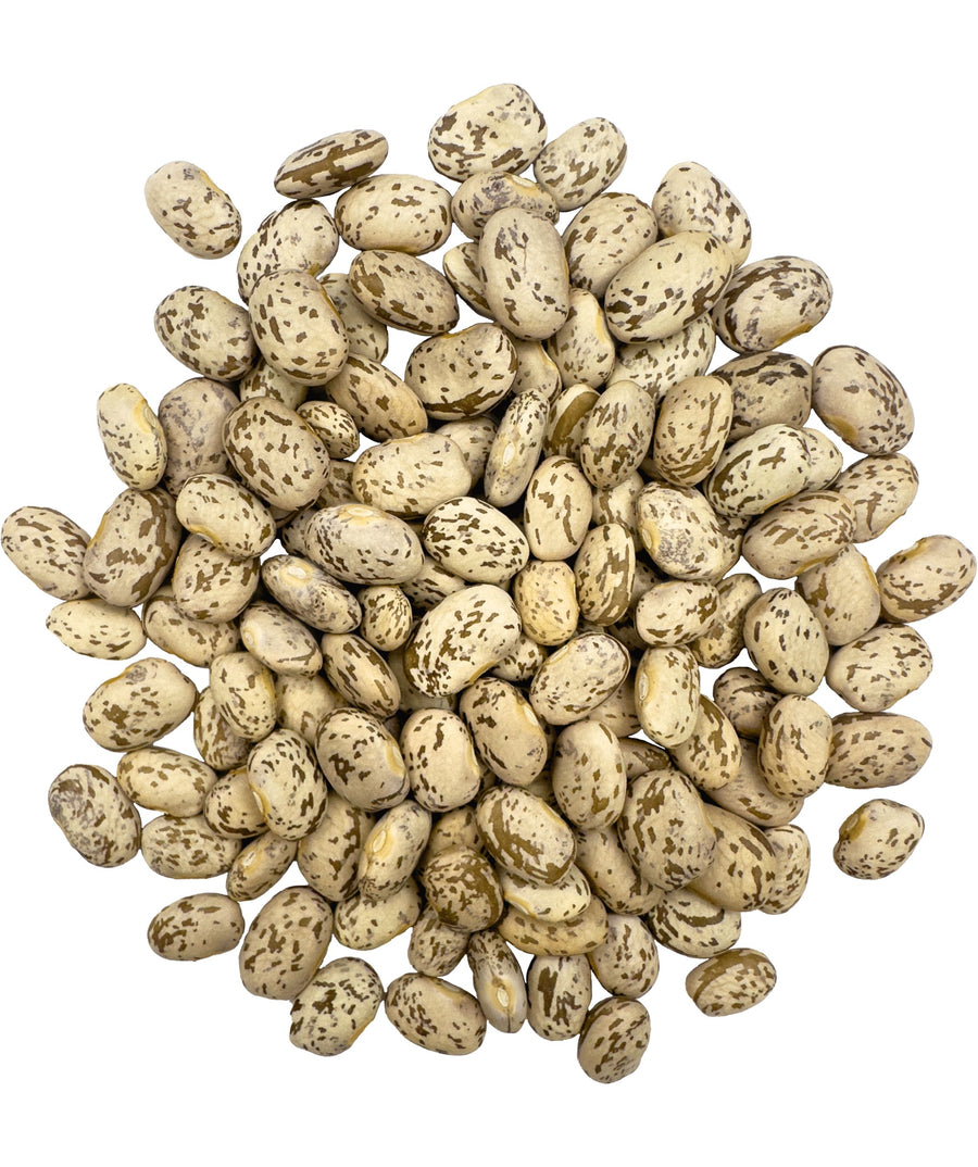 Bulk Pinto Beans