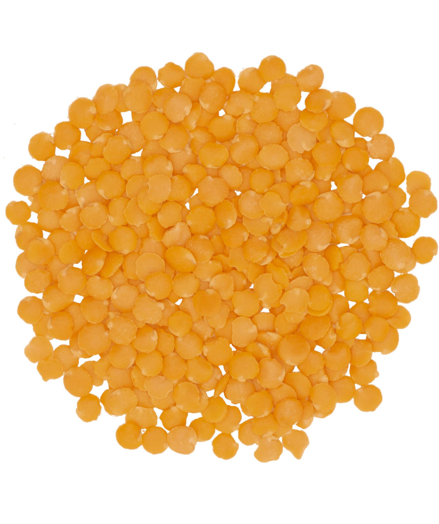 Red Lentil Image