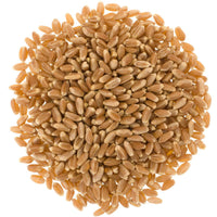 Hard Red Winter Wheat | 1 LB