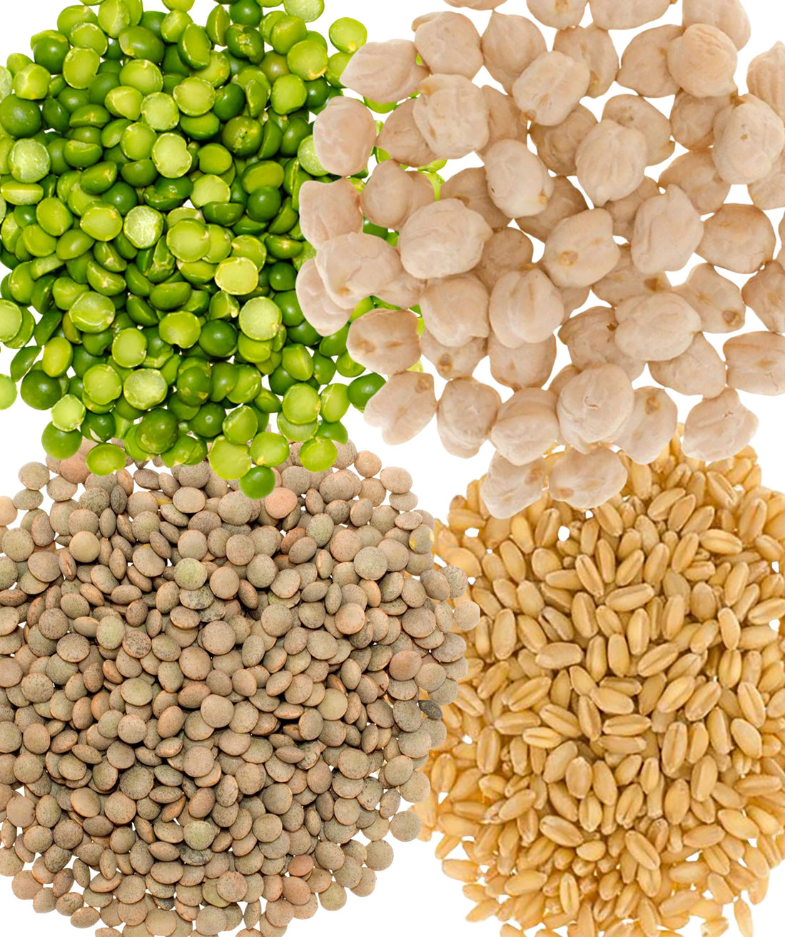 Farm Fresh Legumes,Farm Fresh Grains