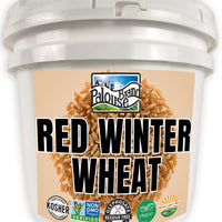 Bulk Long Term Storage Red Winter Wheat Berries