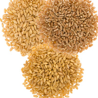 Bulk Wheat Berries