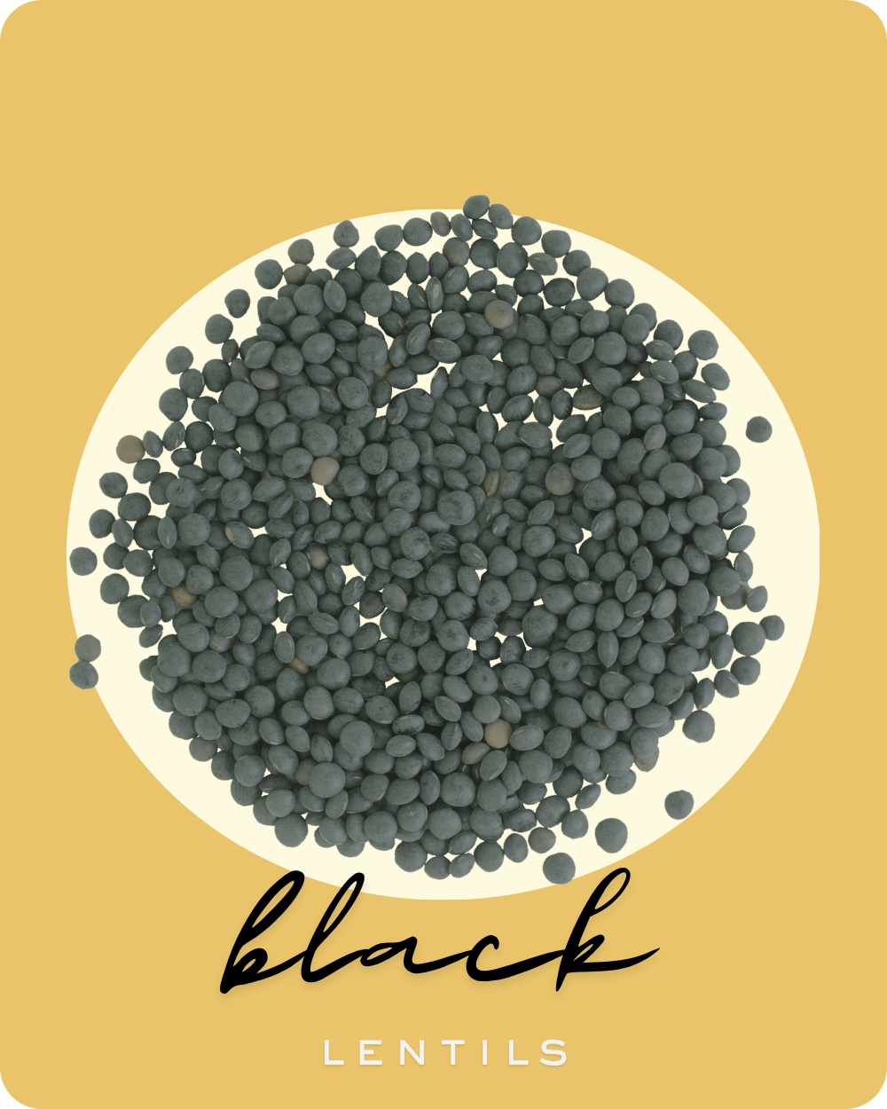 black caviar lentil collection card