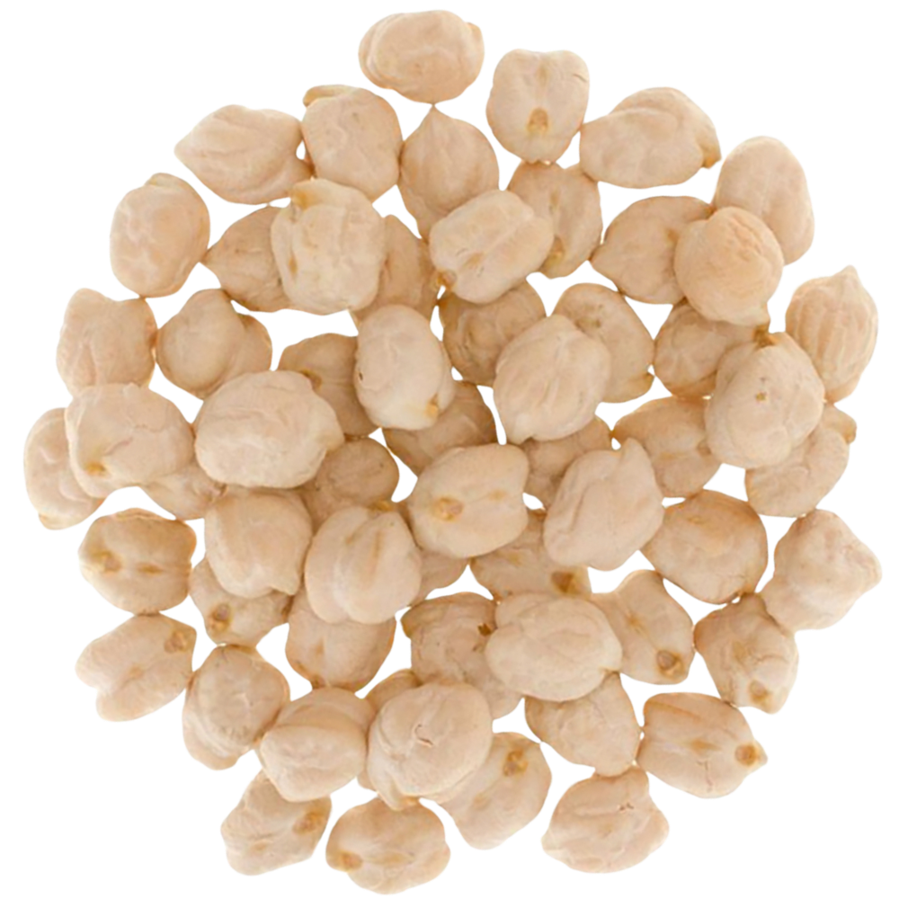 chickpeas garbanzo beans