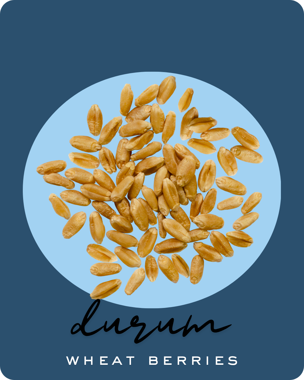 durum wheat berries clear creek