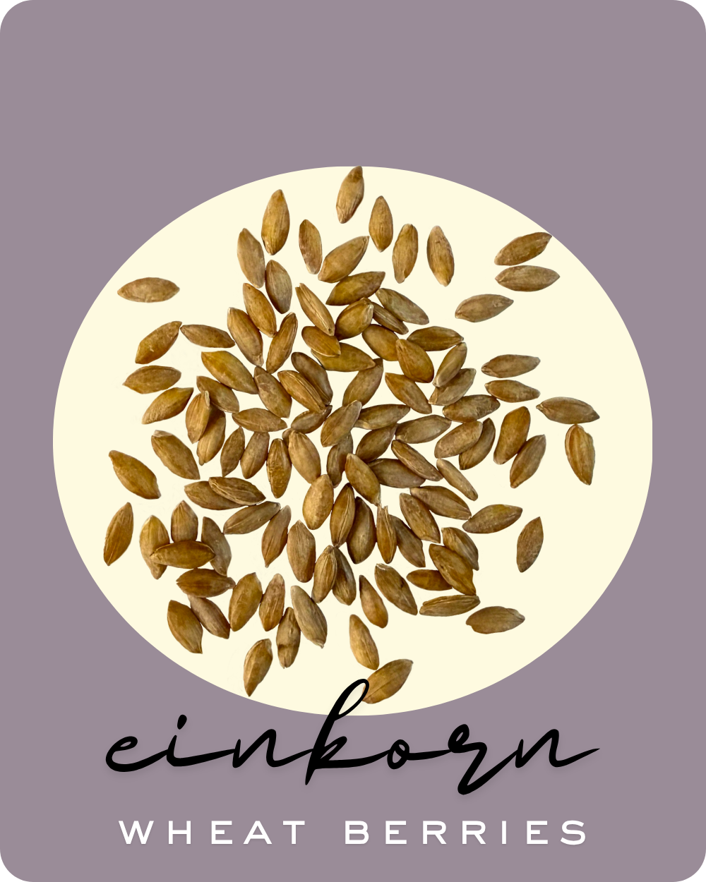 einkorn wheat berries clear creek