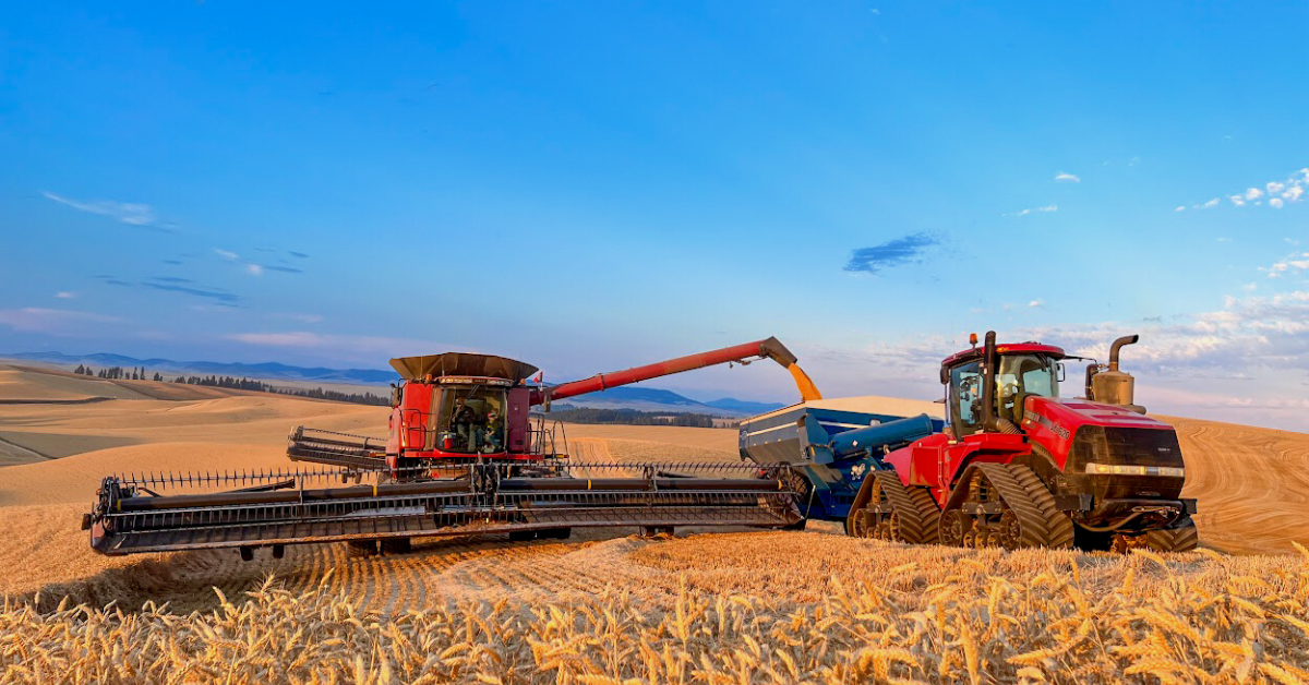 Farm to Table, Five Generations Strong