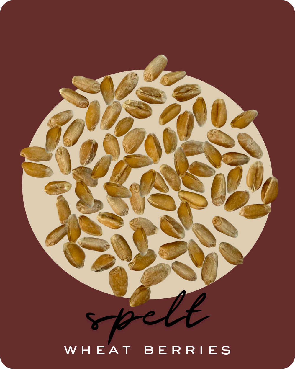 spelt berries clear creek