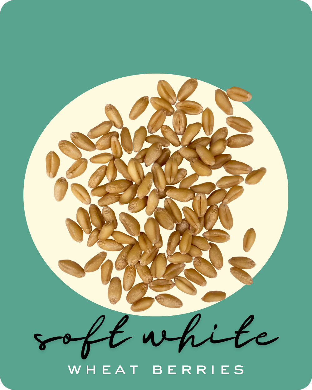 soft white wheat berries palouse brand