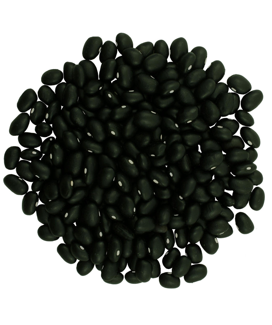 Bulk Black Bean Image