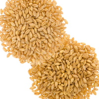 Bulk White Wheat Berries