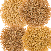 Bulk Wheat Variety