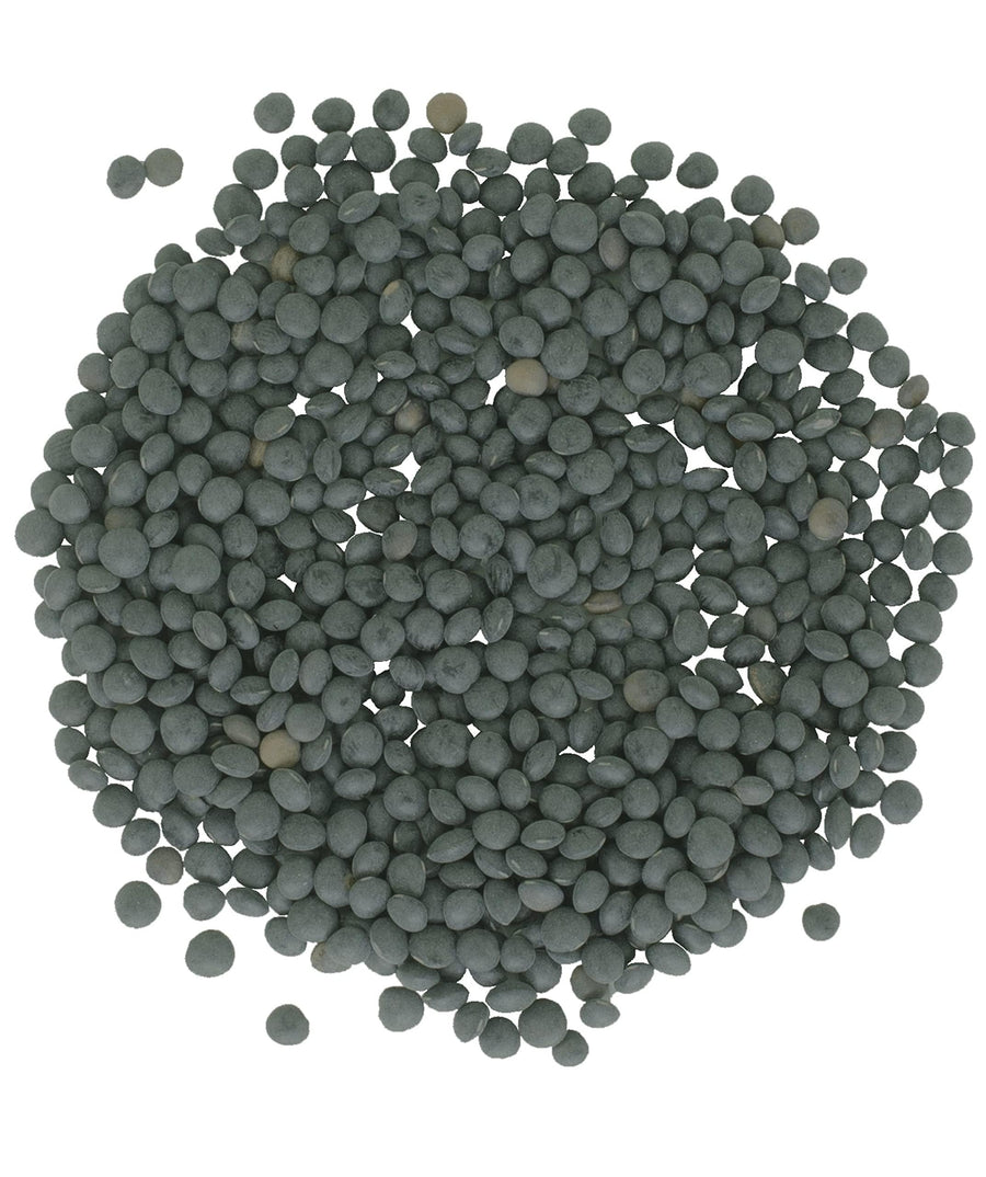 Beluga Lentils  | 1 LB