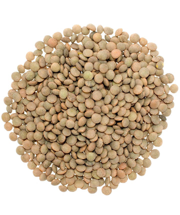 Brown Lentils | 18 LBS | Free Shipping Woven Poly Bag