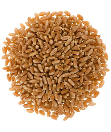 Hard Red Spring Wheat Berries | 18 LB | Free 2 Day Shipping Woven Poly Bag