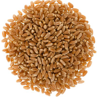 Hard Red Winter Wheat Berries | 18 LB | Free 2-3 Day Shipping Woven Poly Bag
