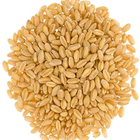 Hard White Wheat Berries | 18 LB | Free 2-Day Shipping Woven Poly Bag