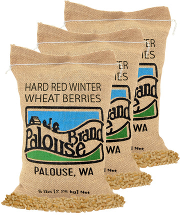 Red Winter Wheat Berries 15 LB 3 pack