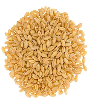 Bulk Hard White Wheat Berries