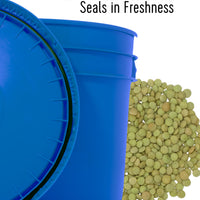 Green Lentil Airtight Seal