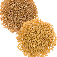 Bulk Wheat Berries