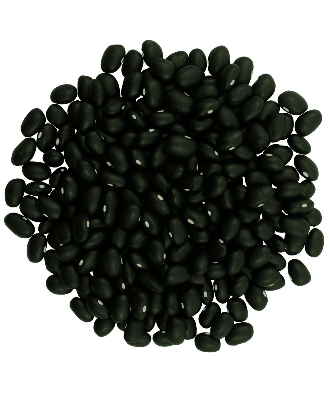 Black Bean Dry 