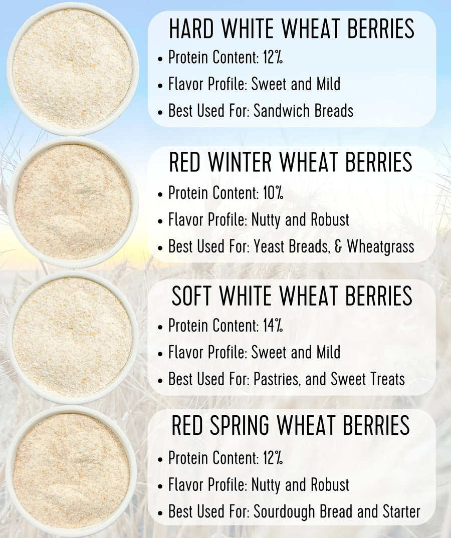 Whole Wheat Flour Comparison