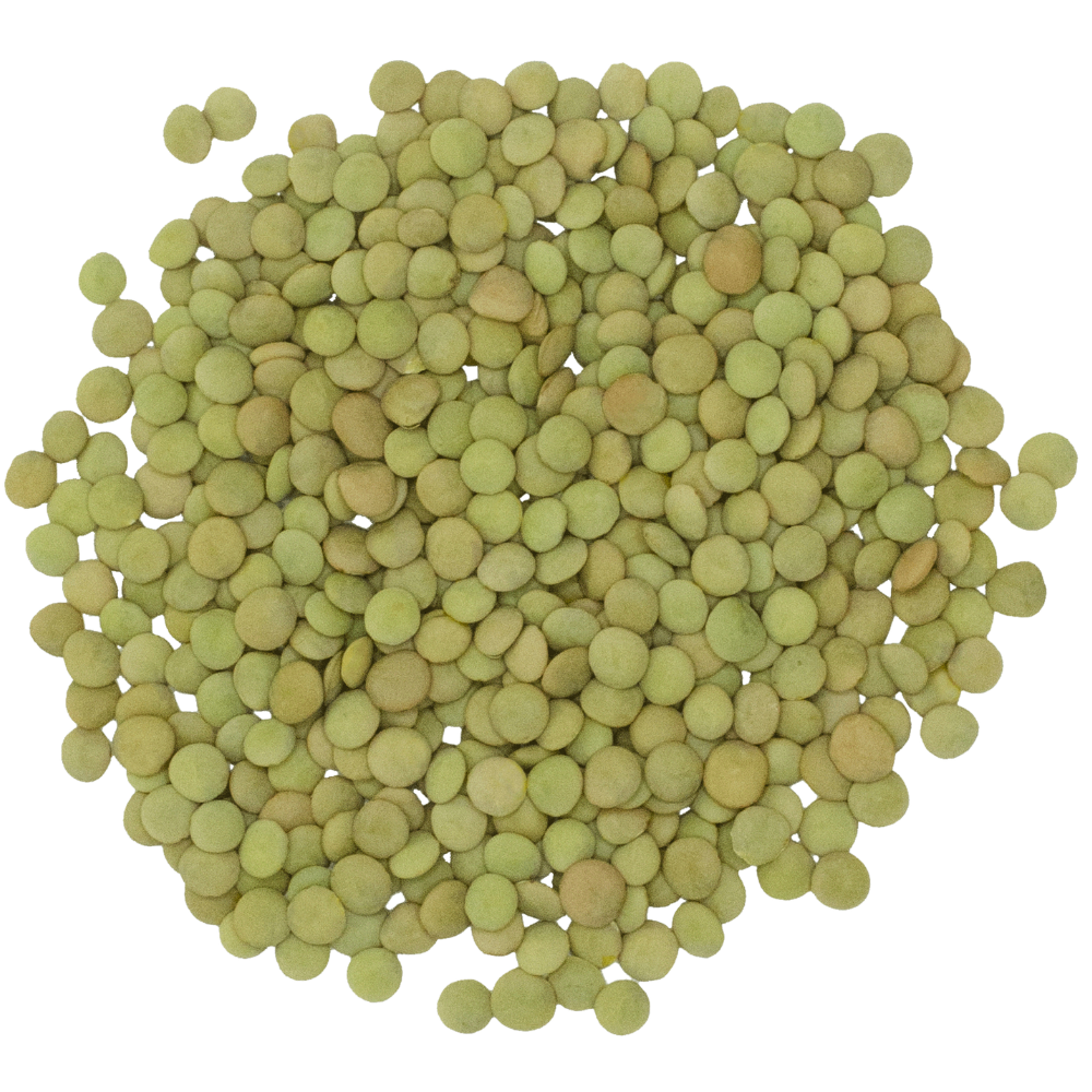 green lentils