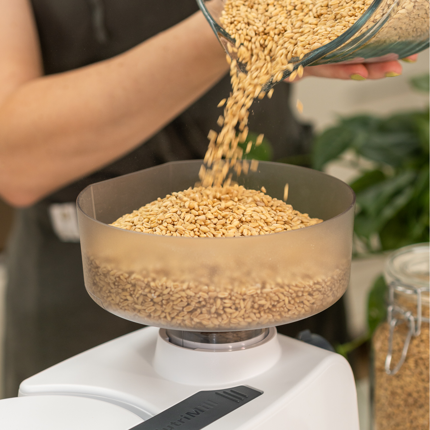 Impact Grain Mill
