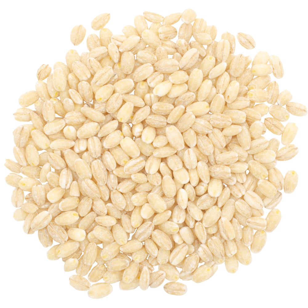 pearl barley