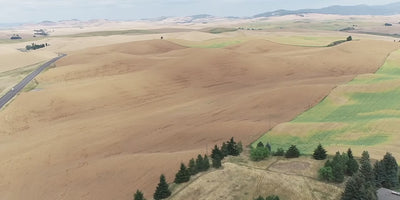 Palouse Brand field harvest video