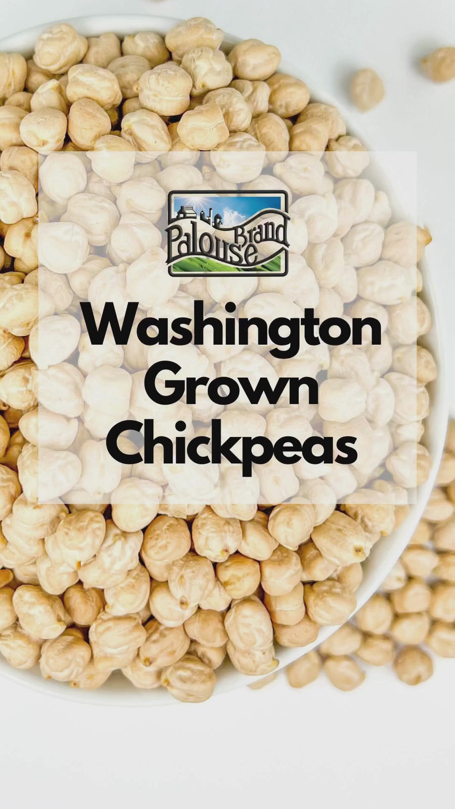 Washington Grown Chickpeas 