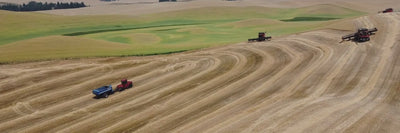Harvest Video