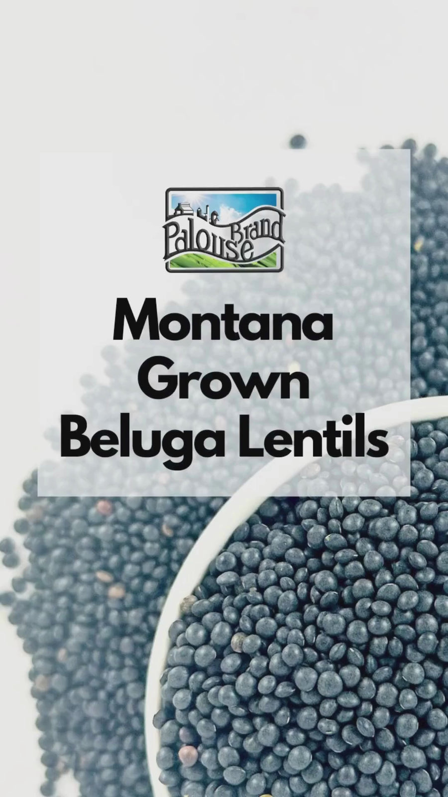 Montana Grown Beluga Lentils